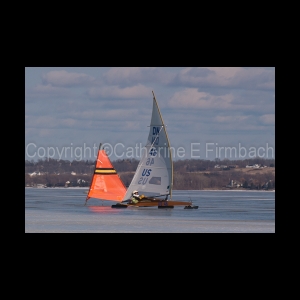DSC_5206.jpg