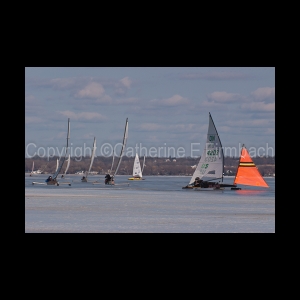 DSC_5209.jpg