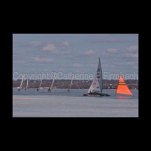DSC_5211.jpg