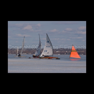 DSC_5212.jpg