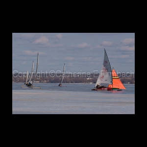 DSC_5213.jpg