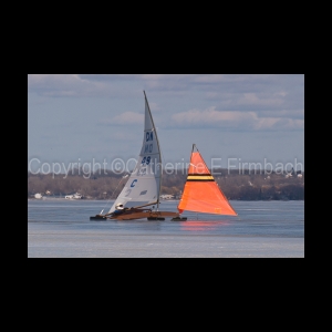 DSC_5223.jpg