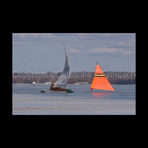 DSC_5225.jpg