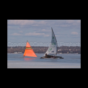 DSC_5228.jpg