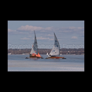 DSC_5229.jpg