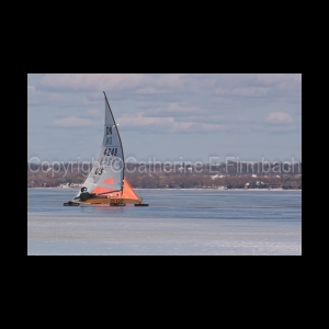 DSC_5230.jpg