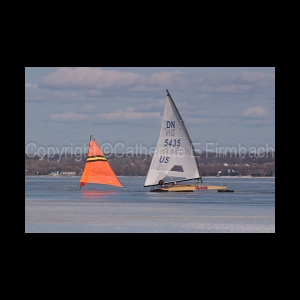 DSC_5232.jpg