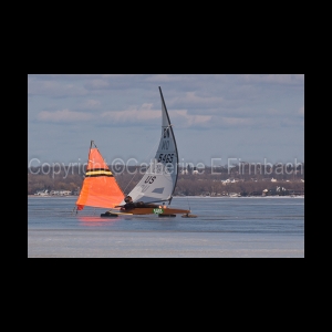 DSC_5233.jpg