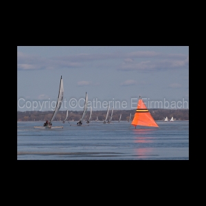 DSC_5254.jpg