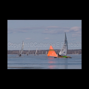 DSC_5256.jpg