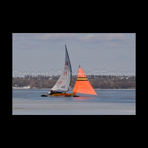 DSC_5276.jpg