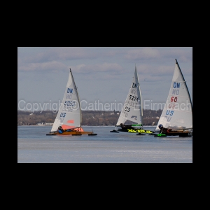 DSC_5283.jpg