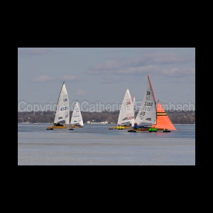 DSC_5284.jpg