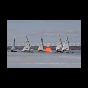 DSC_5290.jpg