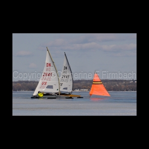 DSC_5294.jpg