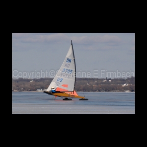 DSC_5296.jpg