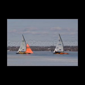 DSC_5304.jpg
