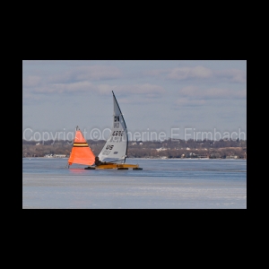 DSC_5306.jpg