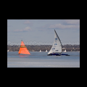 DSC_5310.jpg