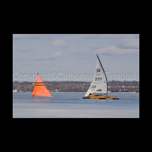 DSC_5319.jpg