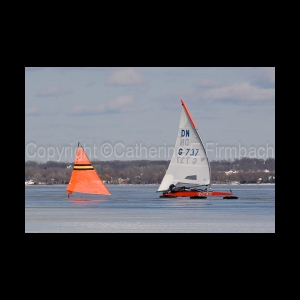 DSC_5320.jpg