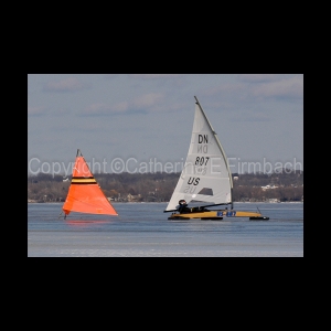 DSC_5330.jpg