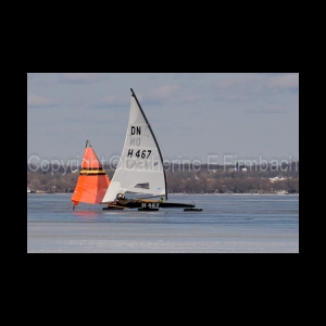 DSC_5333.jpg
