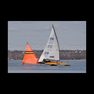 DSC_5342.jpg