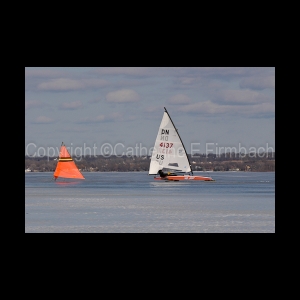 DSC_5346.jpg