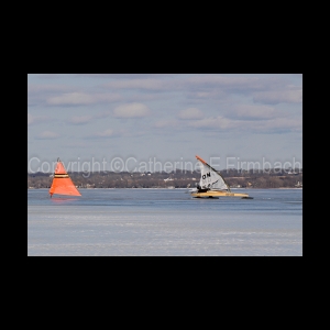 DSC_5359.jpg