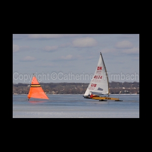DSC_5363.jpg