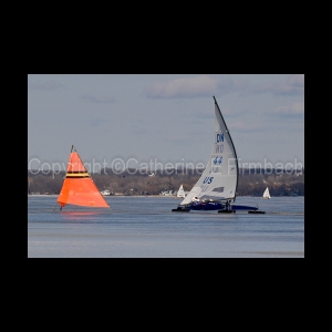 DSC_5372.jpg