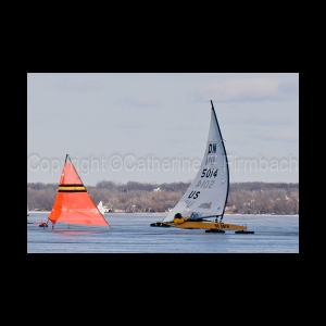 DSC_5385.jpg