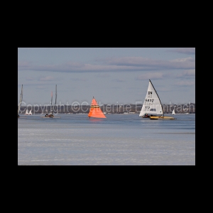 DSC_5398.jpg