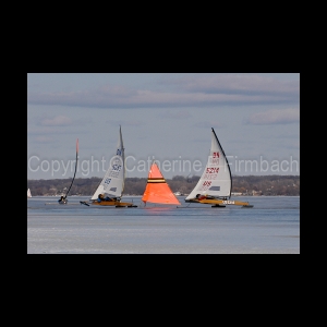 DSC_5399.jpg