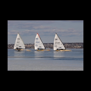 DSC_5405.jpg