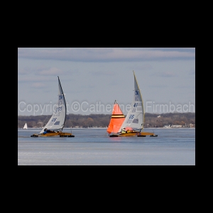 DSC_5408.jpg