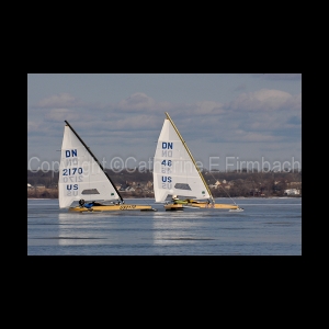DSC_5413.jpg