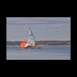 DSC_5415.jpg