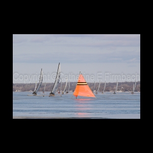 DSC_5457.jpg