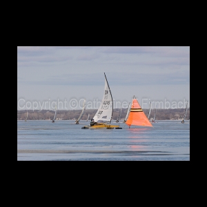 DSC_5460.jpg