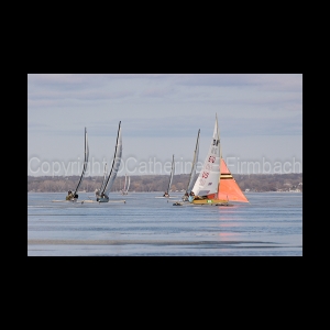 DSC_5470.jpg