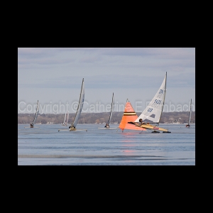 DSC_5473.jpg