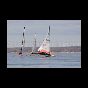 DSC_5481.jpg
