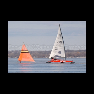 DSC_5483.jpg