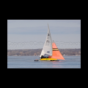 DSC_5484.jpg