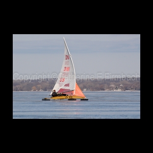 DSC_5493.jpg