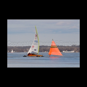 DSC_5494.jpg