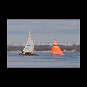 DSC_5504.jpg