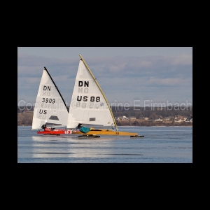 DSC_5511.jpg